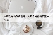 火炬之光的存档在哪（火炬之光存档位置win10）